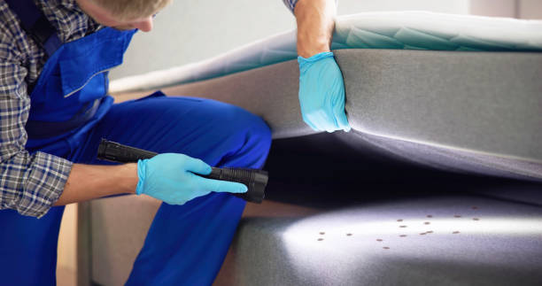 Best Pest Inspection Near Me  in Holly Springs, MS