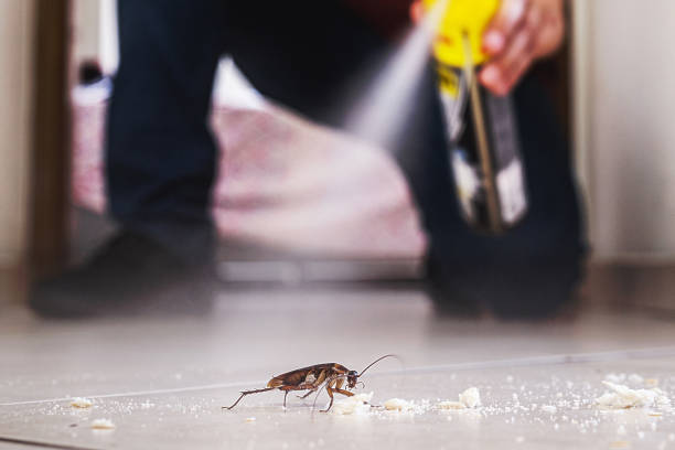 Reliable Holly Springs, MS Pest Control Solutions